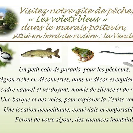 Marais Poitevin Bord Riviere Peche ,barque, Velos, Wifi, Linge, Cheminee, Cuisine, Terrain De Boules Σπίτι διακοπών La Taillee